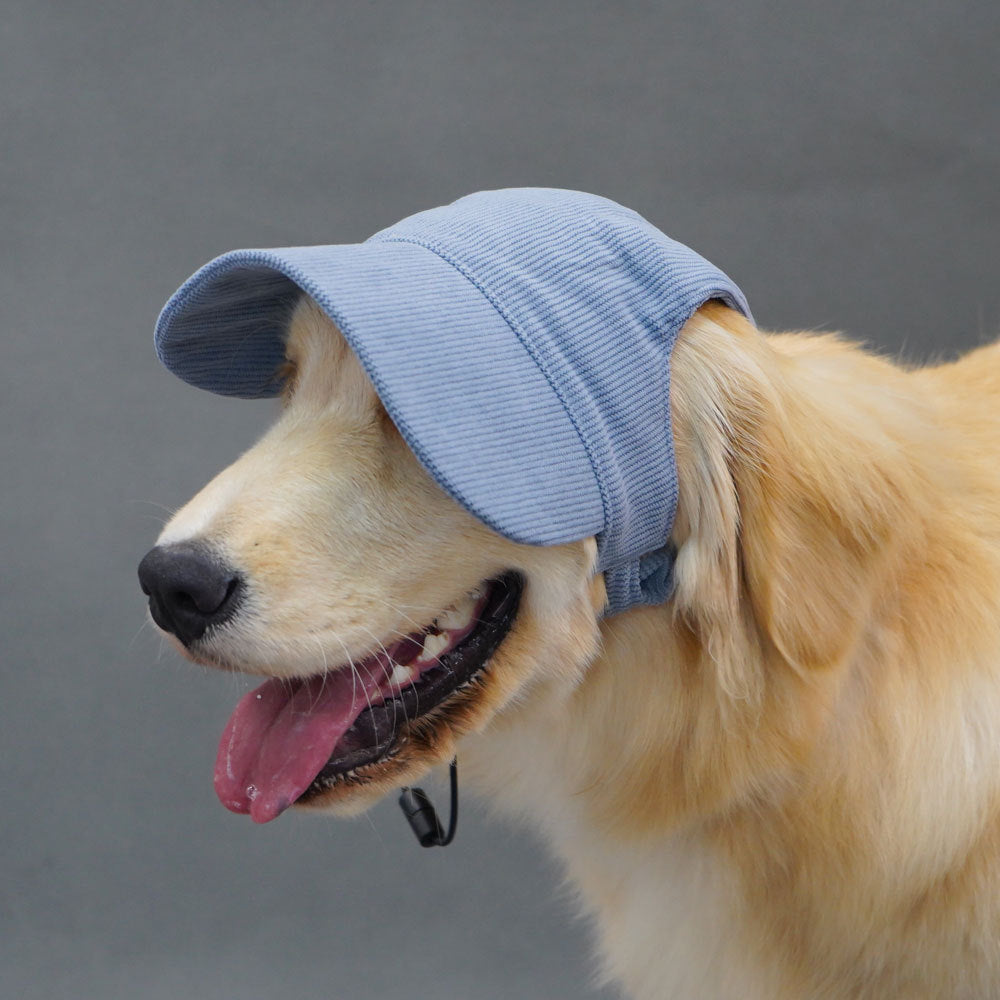 Cute Dog Corduroy Outdoor Cap