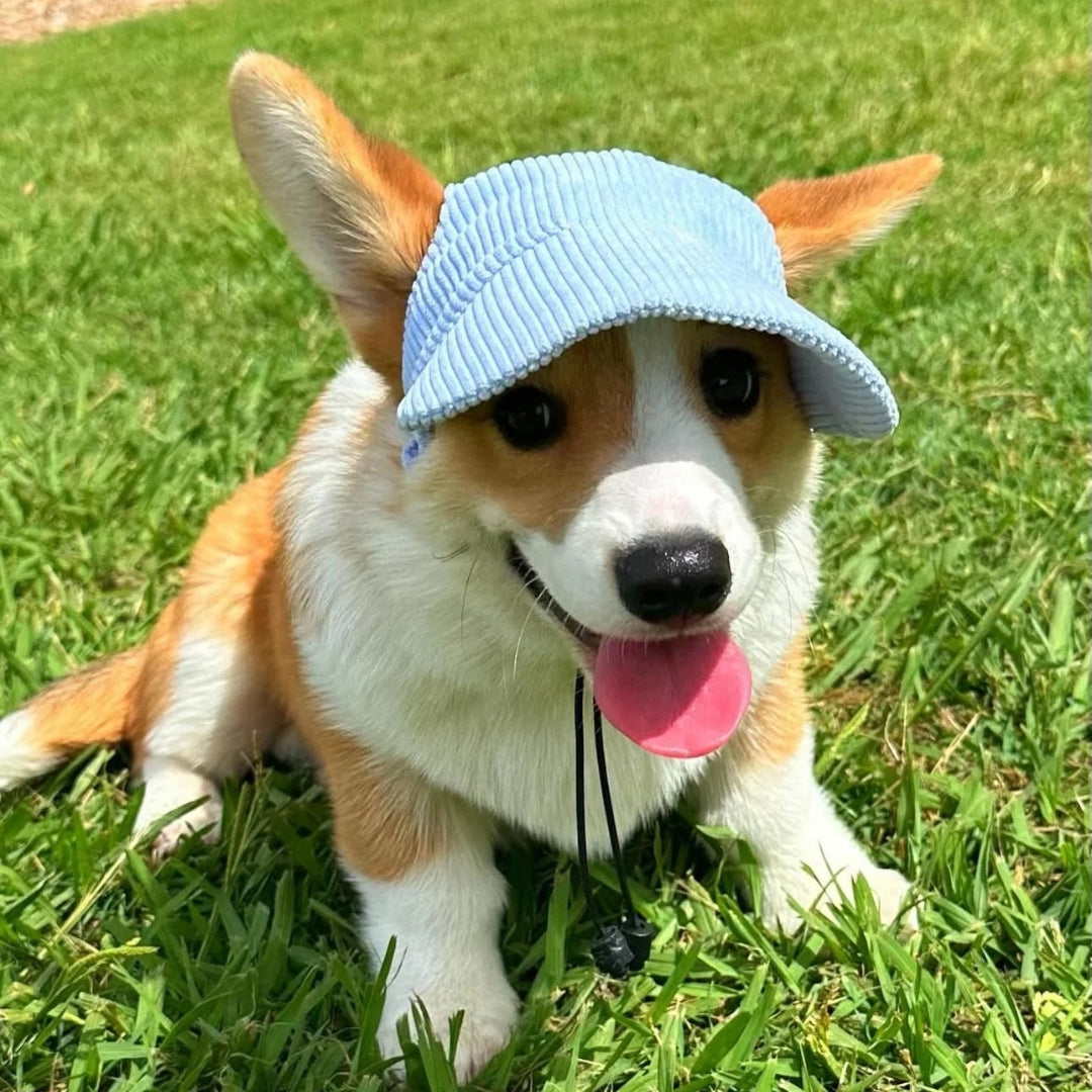 Cute Dog Corduroy Outdoor Cap