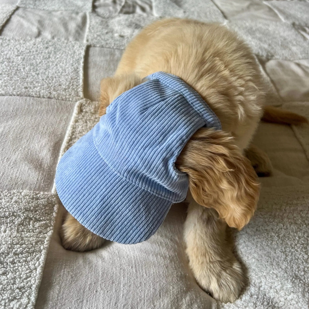 Cute Dog Corduroy Outdoor Cap