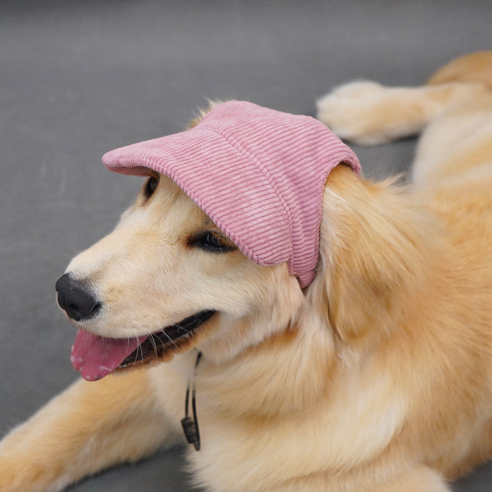 Cute Dog Corduroy Outdoor Cap