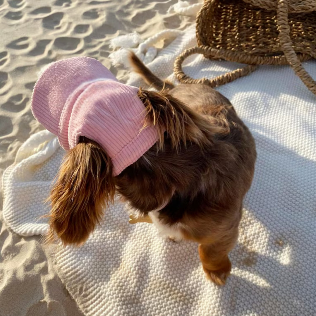 Cute Dog Corduroy Outdoor Cap