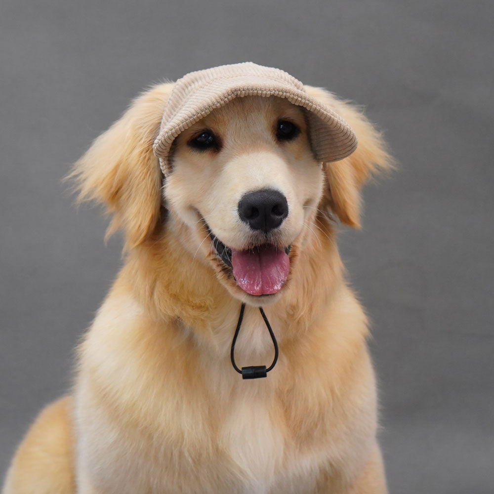 Cute Dog Corduroy Outdoor Cap