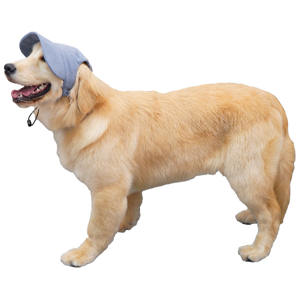 Cute Dog Corduroy Outdoor Cap