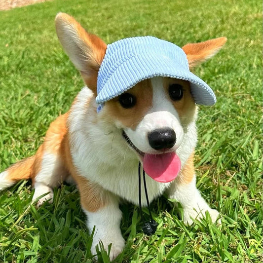 Cute Dog Corduroy Outdoor Cap