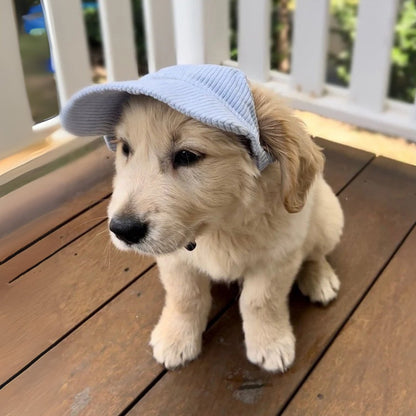 Cute Dog Corduroy Outdoor Cap