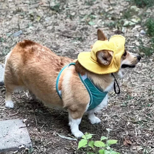 Cute Dog Corduroy Outdoor Bucket Hat
