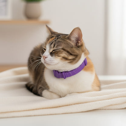 Cat Calming Pheromone Collar