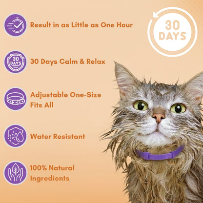 Cat Calming Pheromone Collar