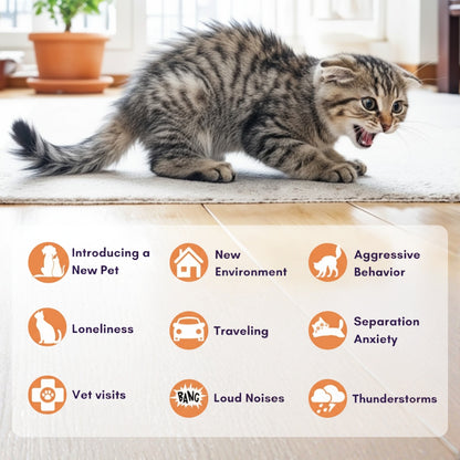 Cat Calming Pheromone Collar